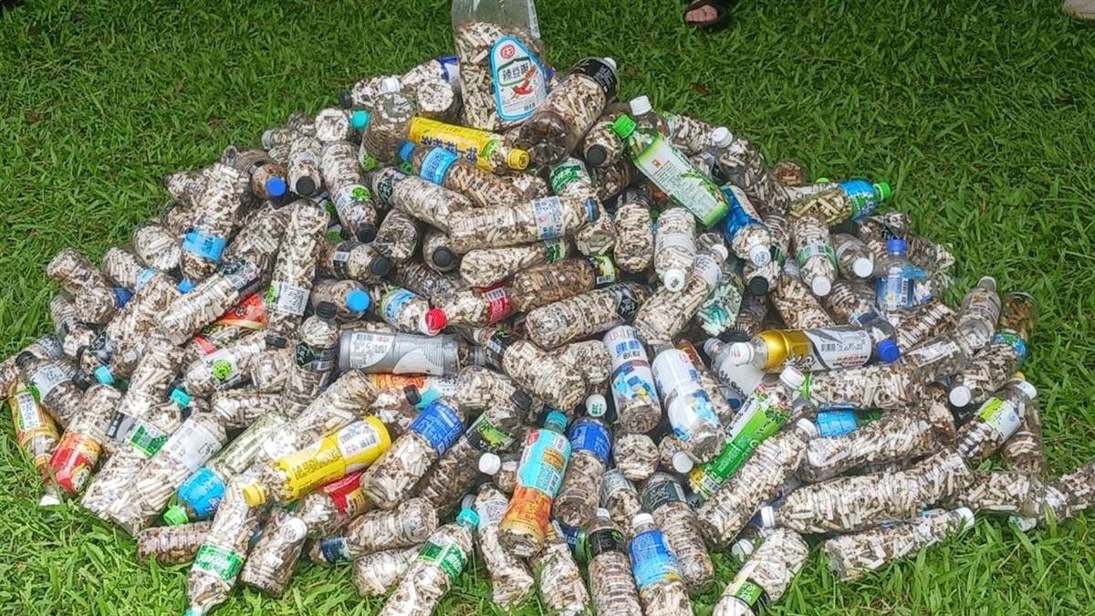 你丟我撿又來了！ 集滿1罐20元 官方證實：去年有人領4萬