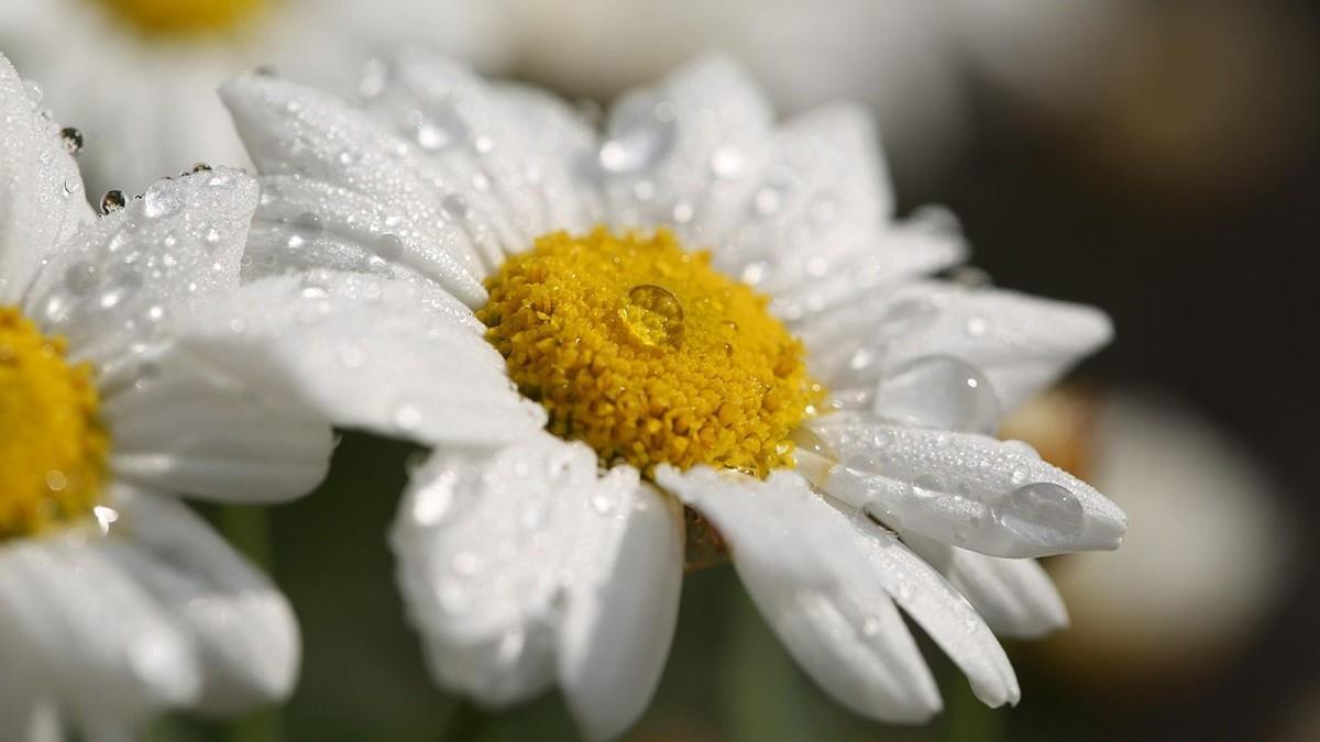 鬼月遇白露更陰森？ 命理師勸「這類人」快懺悔：小心好兄弟衝康