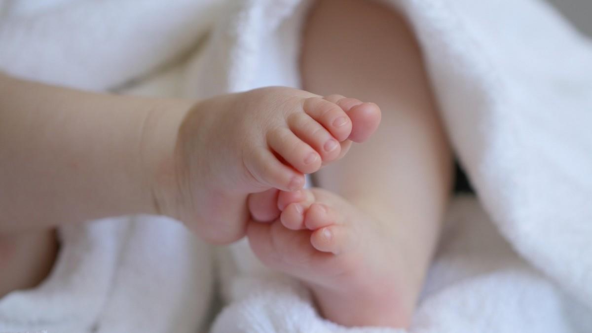 政院拍板「青年婚育租補專案」 明年開辦 估5.2萬戶受惠