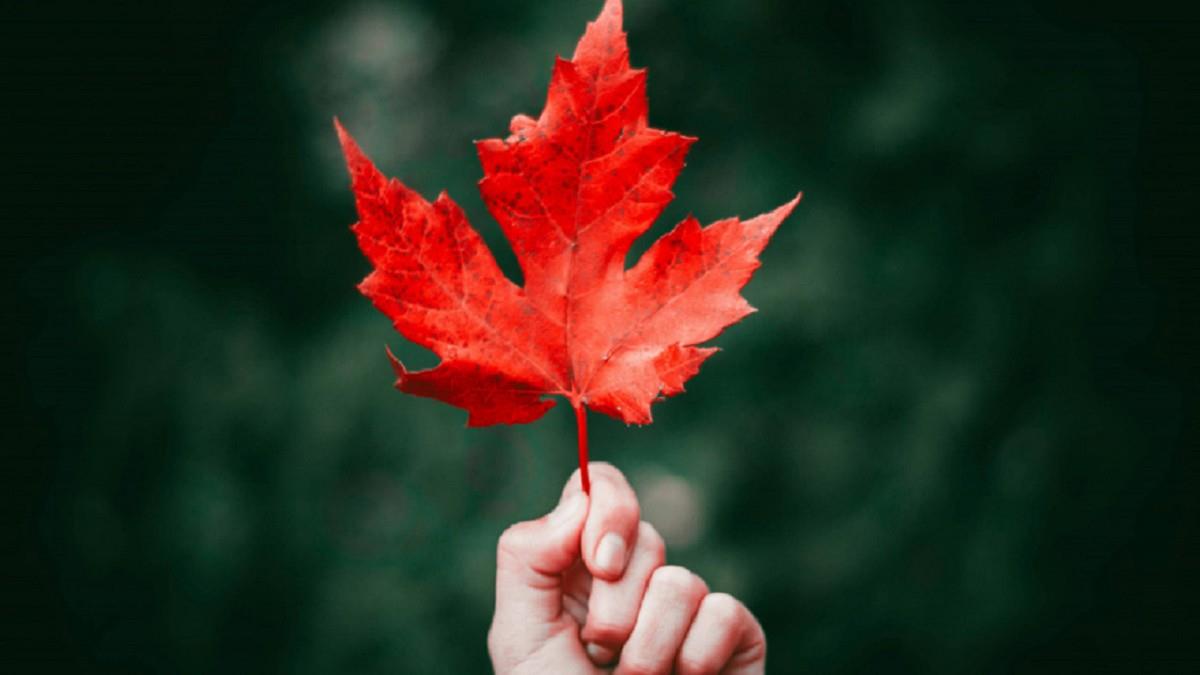 「4生肖」要發了！屬牛、屬狗將在行業樹立威望