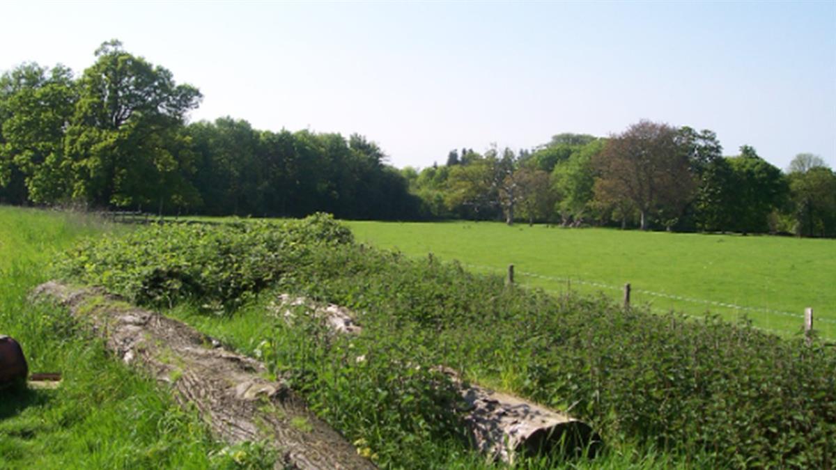 買地挖到「3骨灰罈」嚇傻！ 她怨地主、房仲不處理：喜事變惡夢