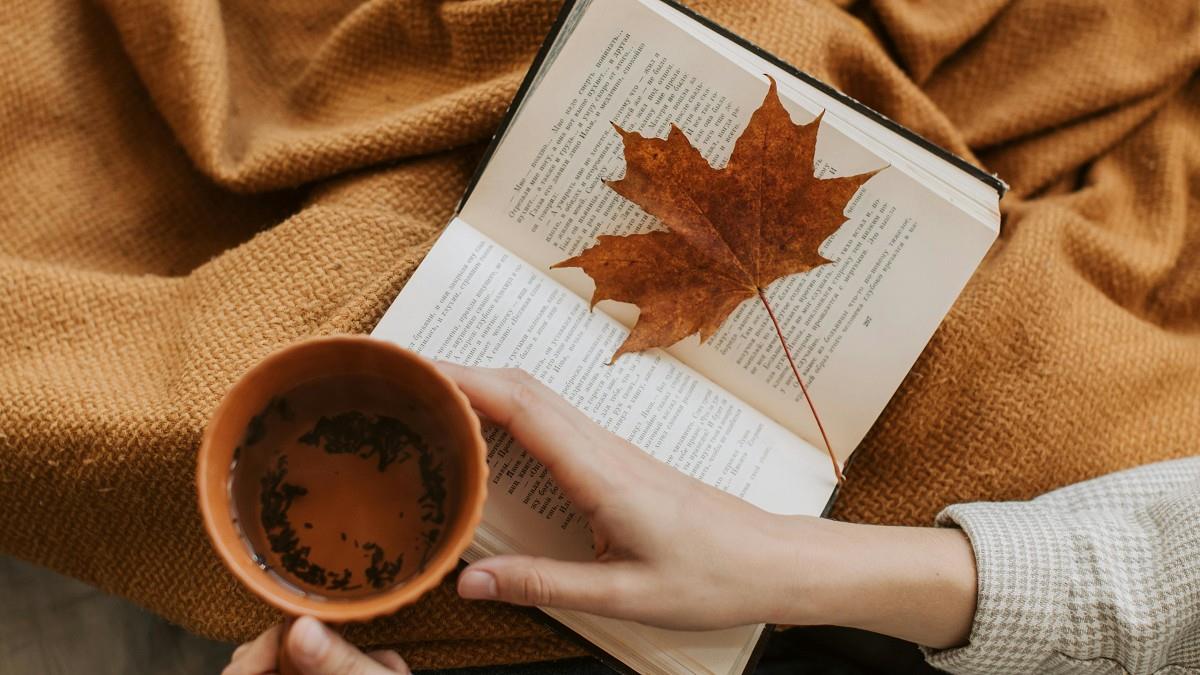 秋分將至！ 「4生肖」恐小病痛 開運養生、禁忌一次看