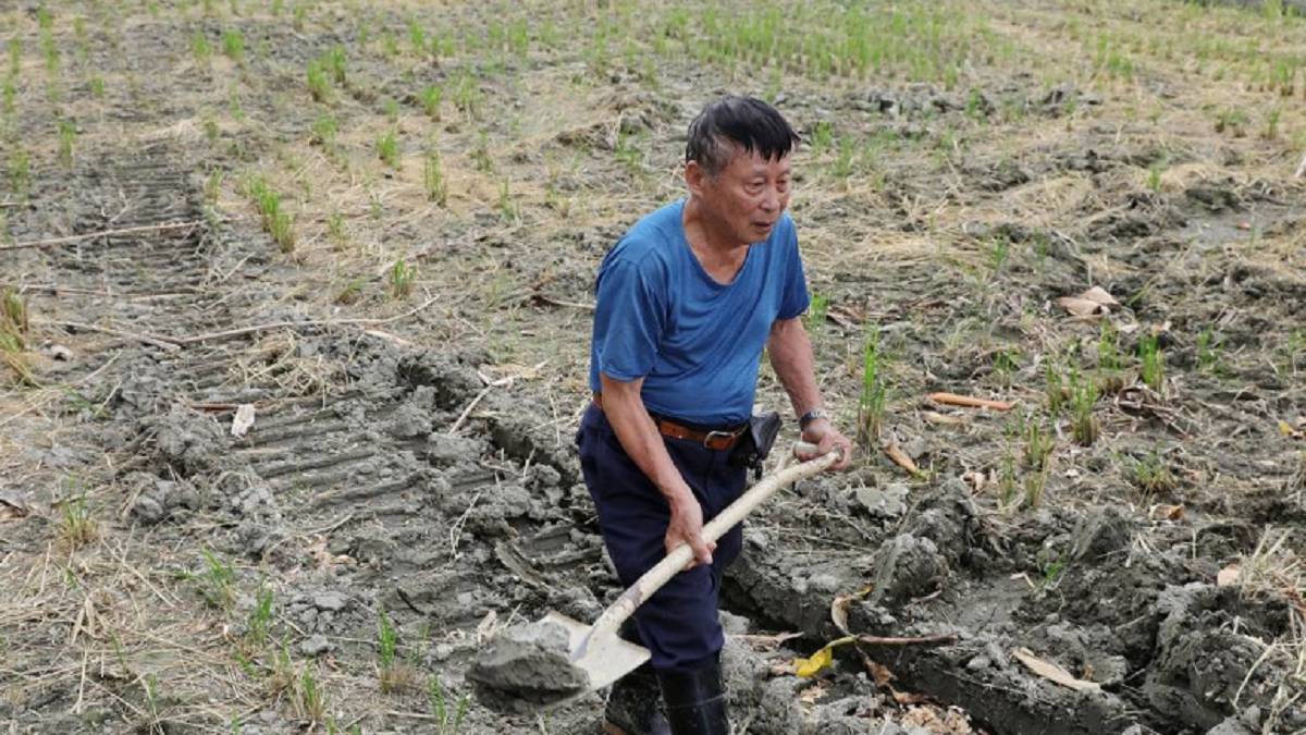 竹市汞米案爆開發暗盤 在地批遭「大矽谷計劃」放生 新竹市府回應了