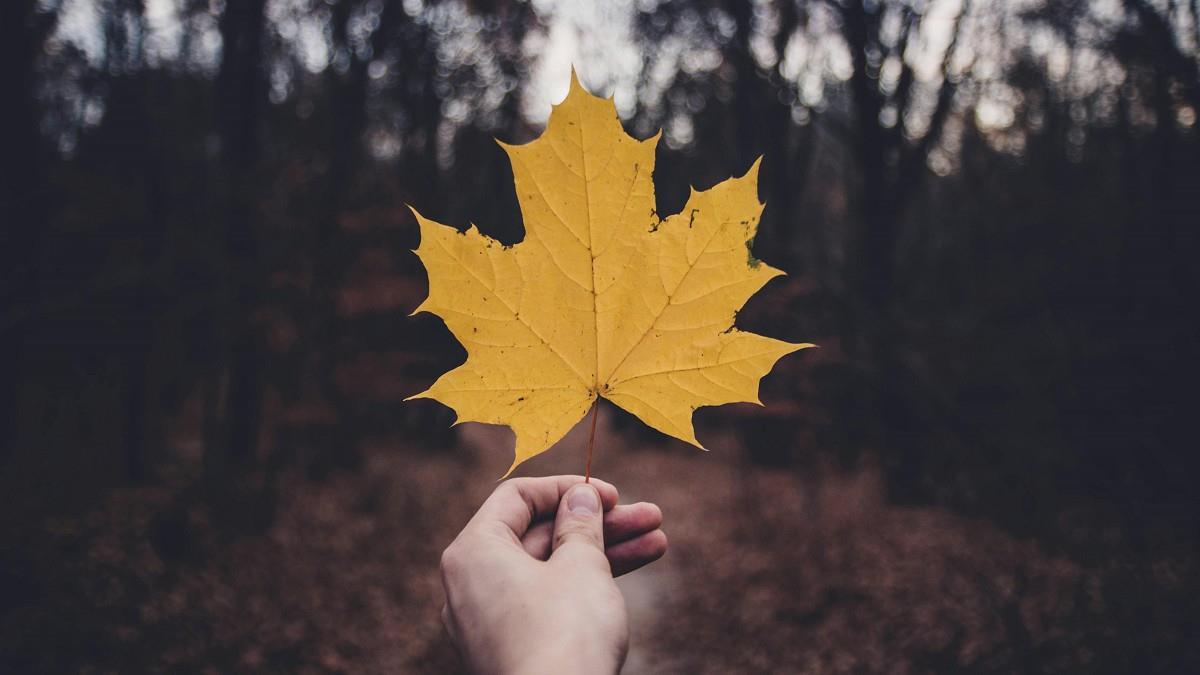 中秋後迎寒露！「3星座3生肖」正、偏財運全都來