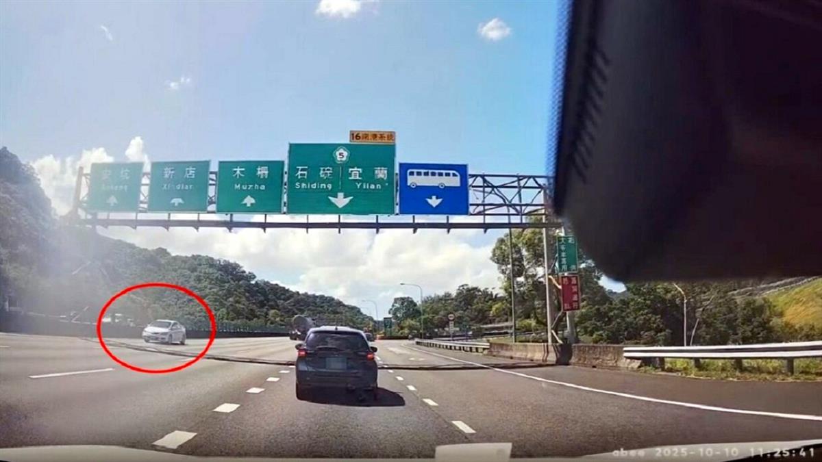 三寶逆向上國道「從從容容」！網傻眼：游刃有餘