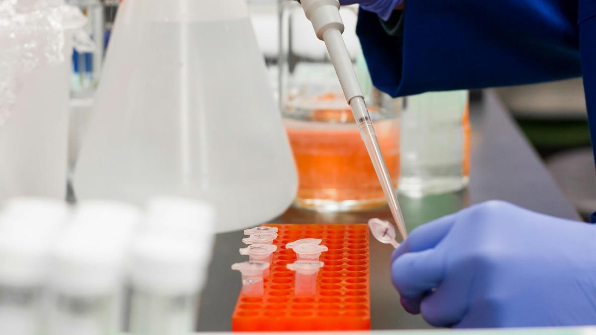 川普再出招！自稱「體外受精之父」 鼓勵大家多生孩