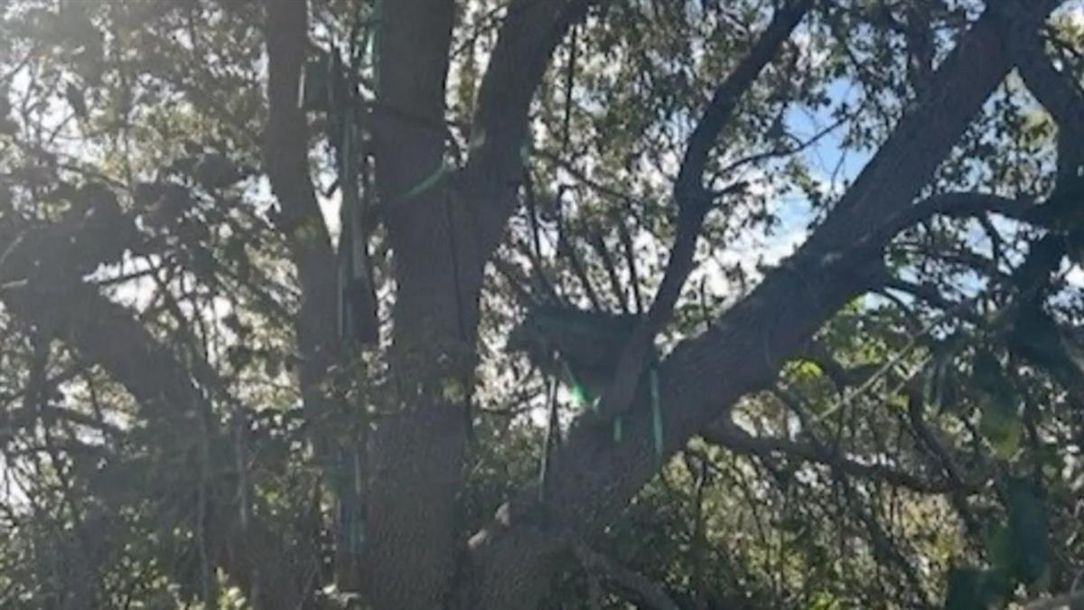 鎖定空軍一號？ 機場附近發現「狙擊手平台」 FBI要查了