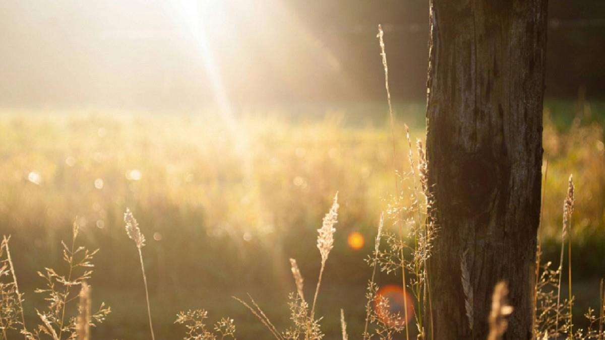 2026要來了！這「4星座」迎10年好運 事業財富皆豐收