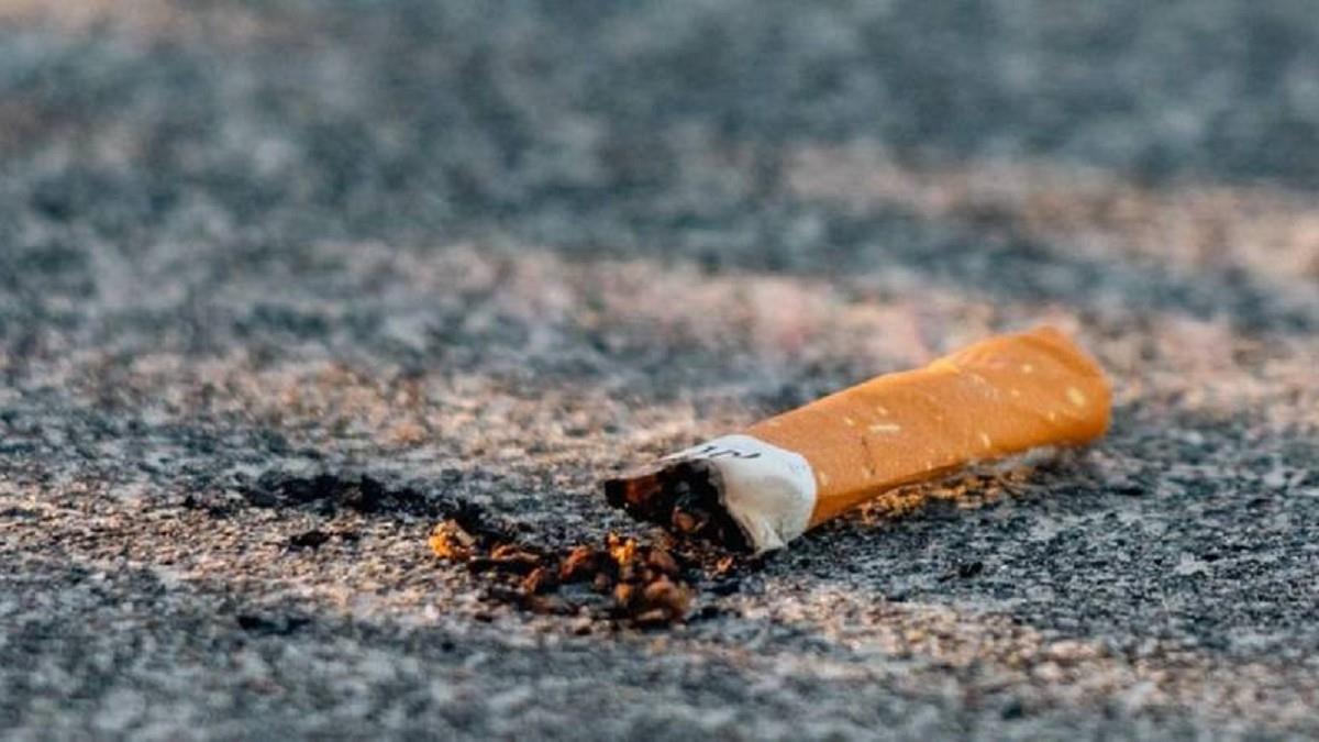 檢舉達人注意！ 亂丟菸蒂獎金驚人 「抓到這個」有3000元