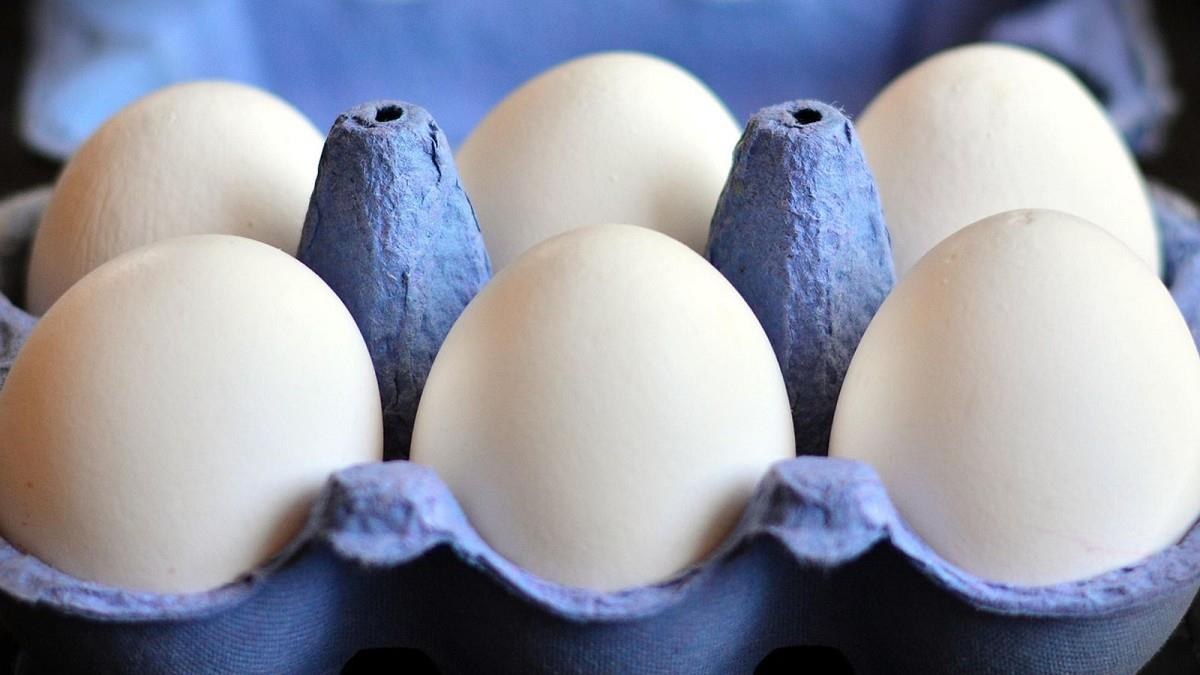快檢查你家的蛋！「這溯源碼」開頭的別碰 醫示警：吃多恐中毒