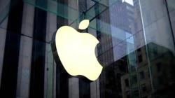 蘋果「1策略」封神 股價創新高 專家也認走眼：小丑是我