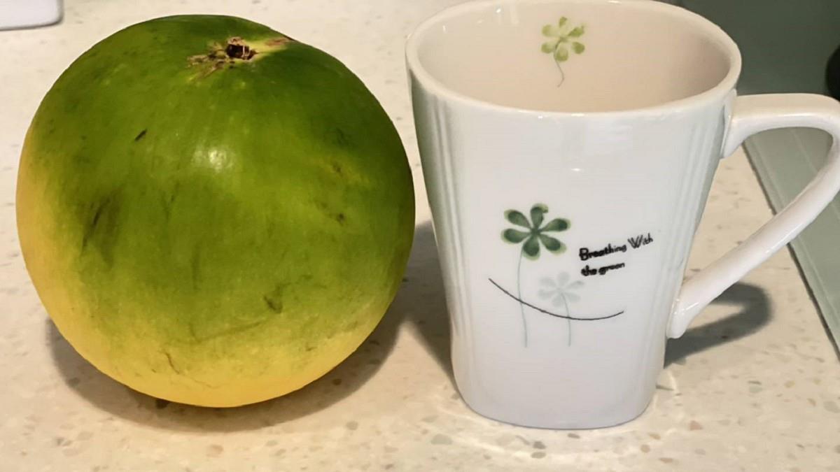 龜吼漁港買黃金果「4顆988元」 彭華幹傻眼：連台灣人也坑