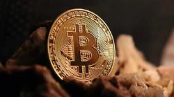 比特幣今年漲幅歸零！ 《富爸爸》堅持不賣：坐等大印鈔