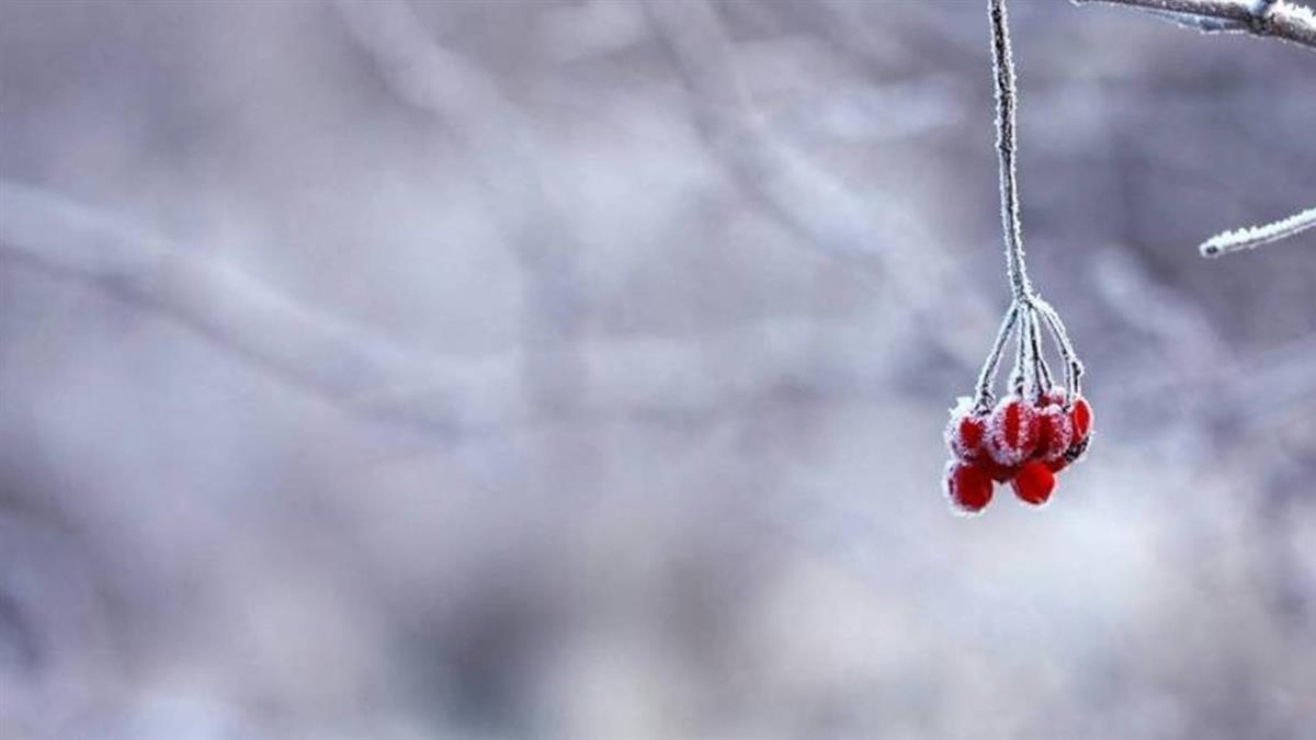 小雪大轉運！ 命理師曝黃金10分鐘 「1杯水」開運納財長智慧