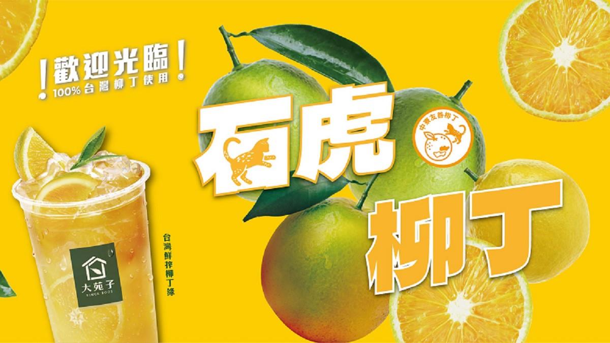 「大苑子石虎柳丁」遭踢爆一顆都沒買？ 網見聲明怒噴：硬拗到不行