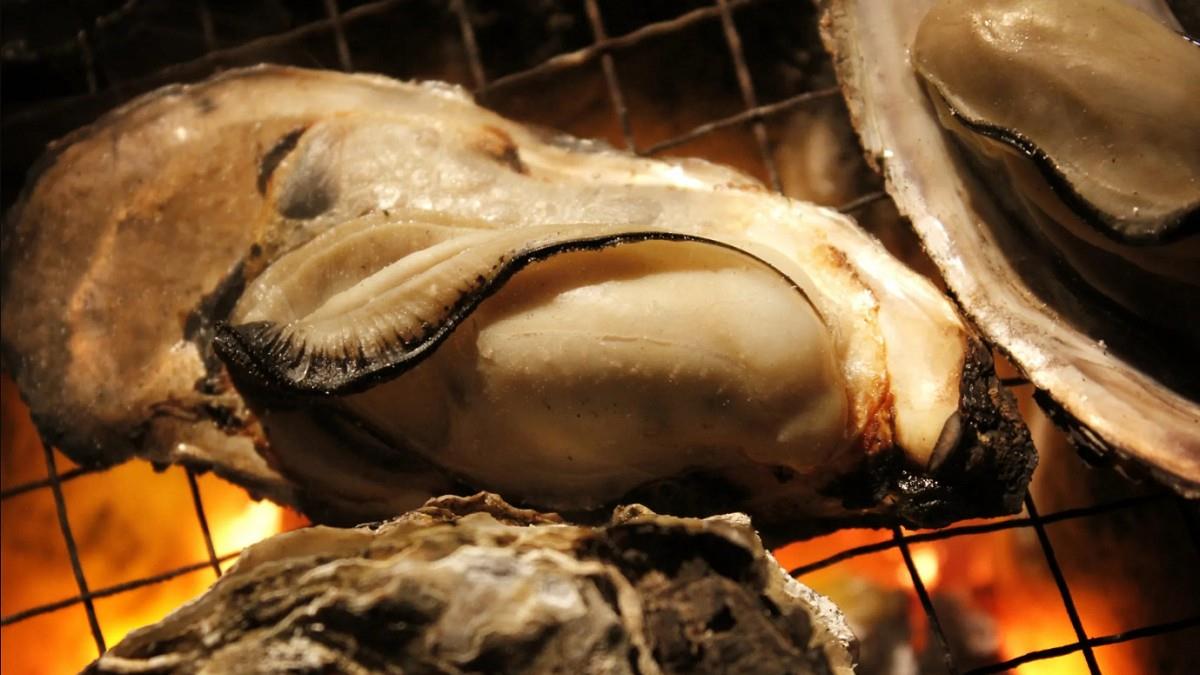 廣島牡蠣大規模死亡 已達災害級別 知事：疑「1事」釀禍