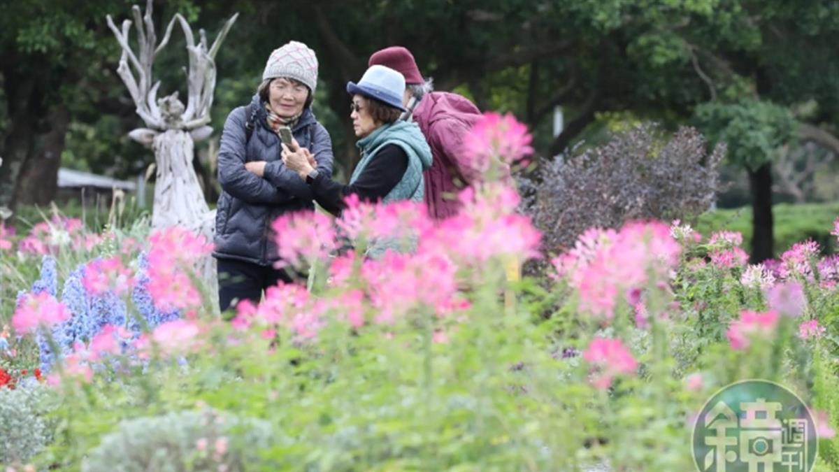 今晨最低17度！ 「這時間」回溫 下週新一波東北季風接力