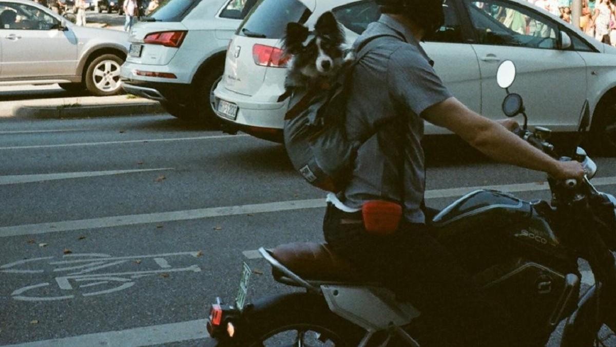 財政部發錢了！車主最高可領10萬 領取資格一次看