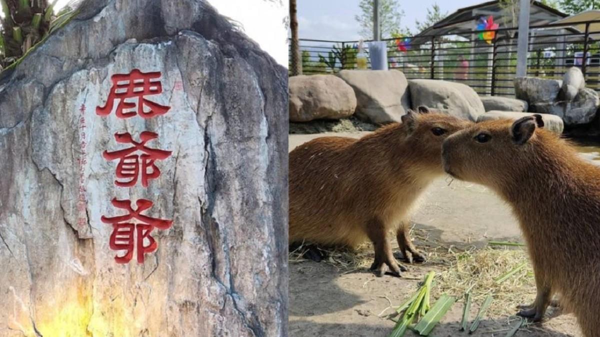 宜蘭4.9顆星「鹿爺爺農場」宣布歇業！ 最後營業日曝光