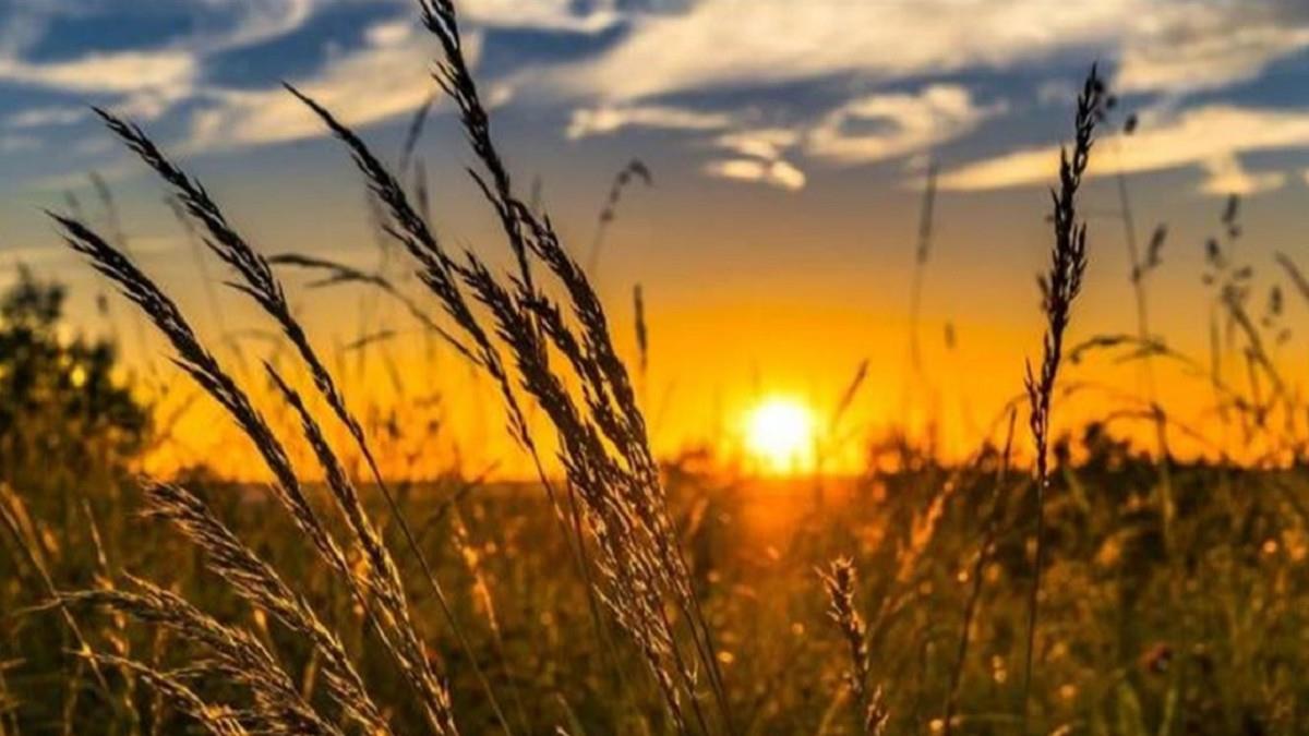 準備轉運！「5星座」財神爺罩你 一整年免為錢煩惱