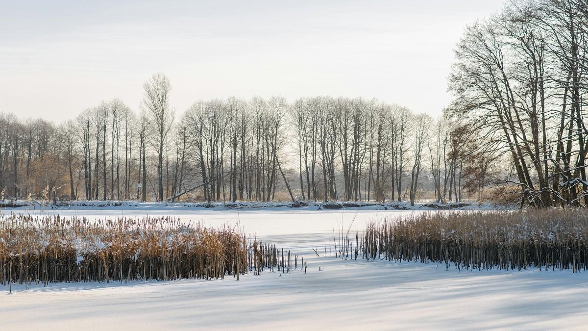 大雪將至！ 命理師曝「6禁忌7習俗」：棉被蓋頭惡運多
