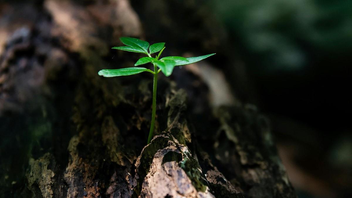「12星座」12月運勢曝！ 天蠍小心破財 射手有貴人相助