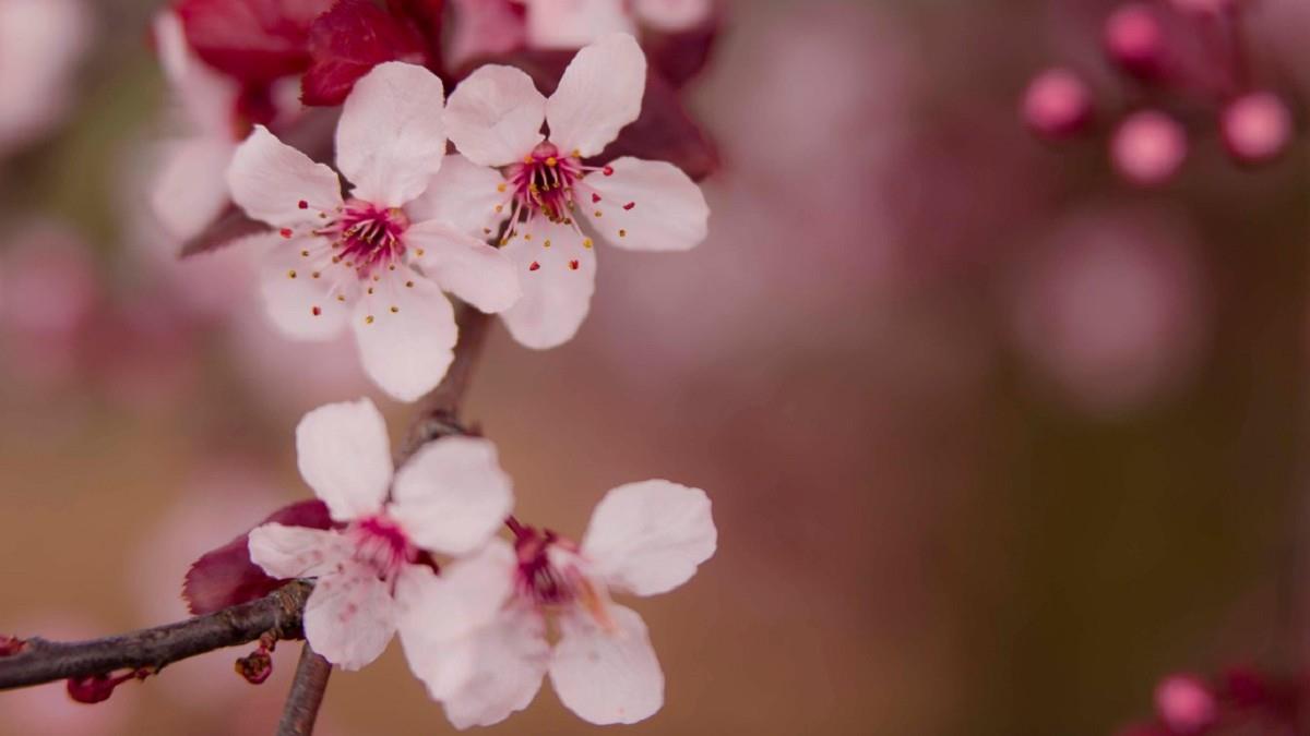 再熬一週迎重大轉運！3星座事業+財運同步爆發
