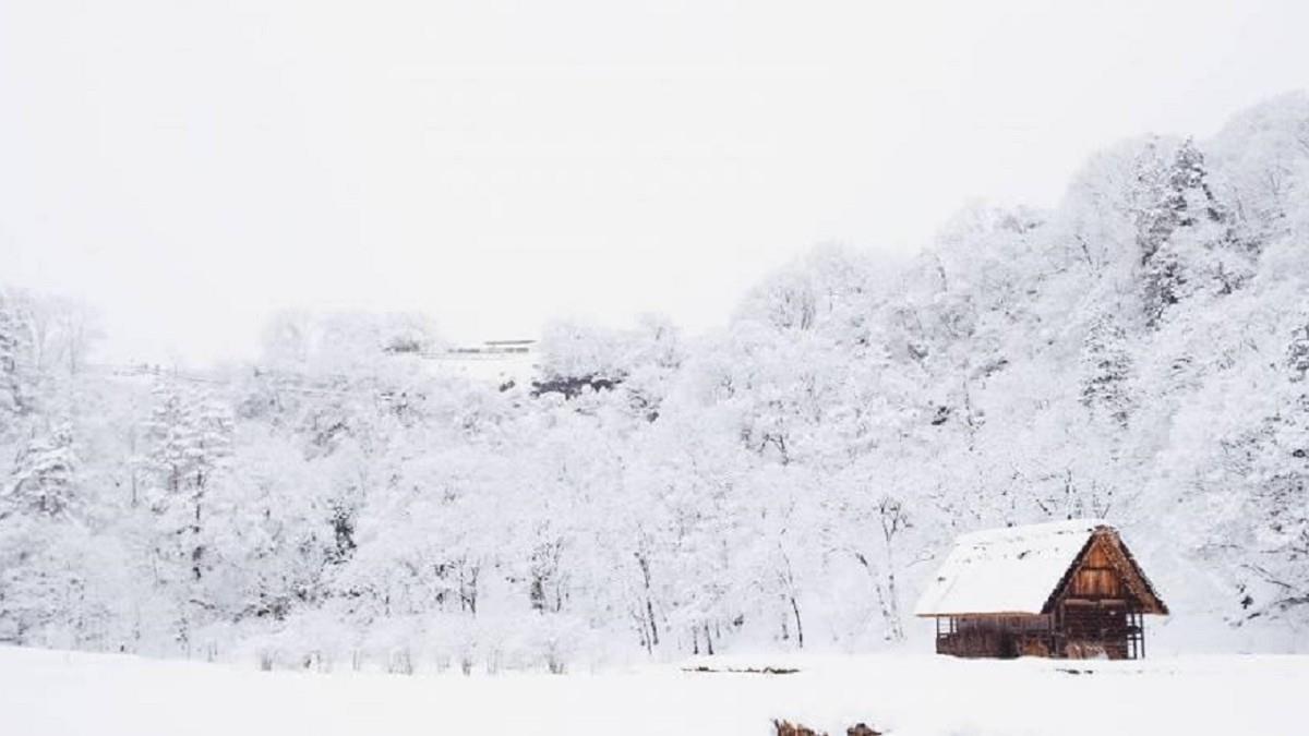 「12生肖」本週運勢曝！ 屬猴把握賺錢機會 屬龍要用點心機