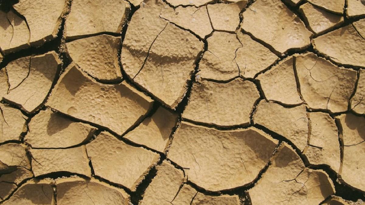 新／日本地理資訊管理局：青森地震可能導致「地殼東移」約9公分