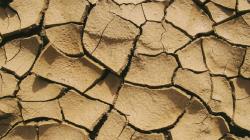 新／日本地理資訊管理局：青森地震可能導致「地殼東移」約9公分