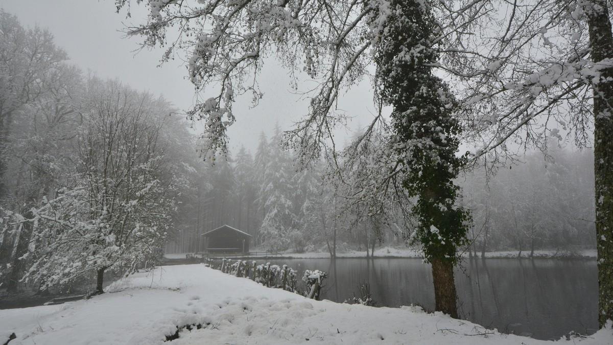 貴人加持、正偏財爆發！「 4生肖」一路旺到跨年後