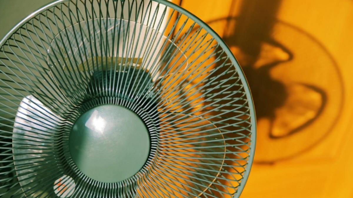 風扇免拆也能清！ 全聯曝「清潔秘招」 不易積塵又節能